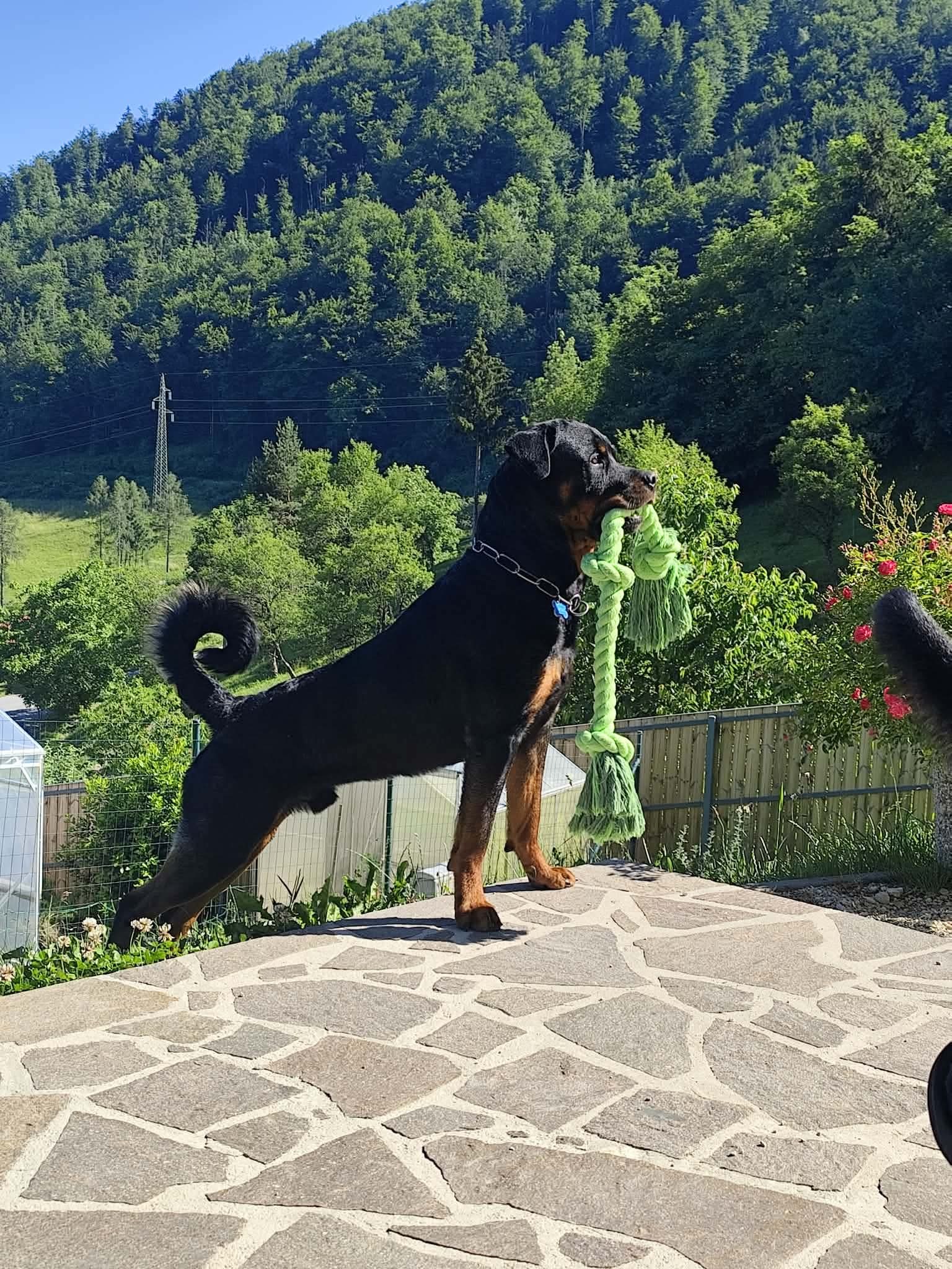 Fotografija iz galerije